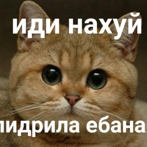 Прохор Яромирович