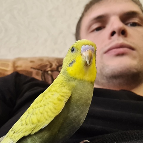 Роман Мохов