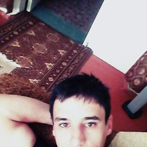 FERID82