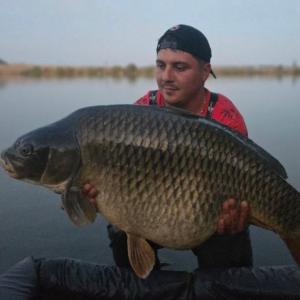 Karp